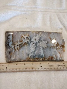 Lange (8 Zoll), große Feder Achatplatte, Friedhofspunkt (unbedingt ansehen: tolle Platte) - Bild 1 von 13