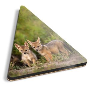 1x Triangle Coaster - Jackal Dog Wolf Coyote Puppy #12577
