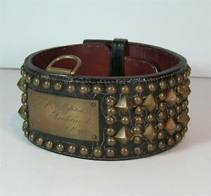 ca1909 LARGE SIZE BRASS STUDDED LEATHER DOG COLLAR FOR GREAT DANE CHAMPION DOG
