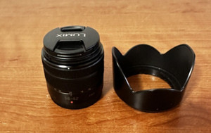 Panasonic Lumix 14-42 f/3.5 Panasonic Lens with caps