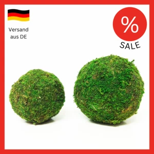 Mooskugel D. 10 cm Dekokugel Moos Kugel Ball Floristik Hochzeit Deko Tischdeko - Bild 1 von 3