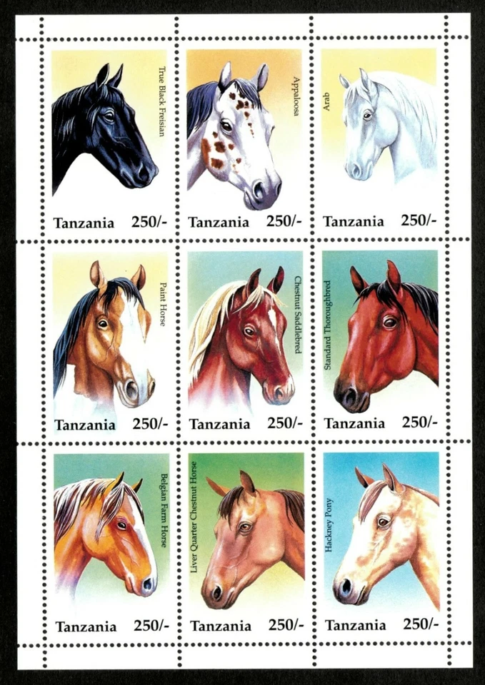 Tanzania 1995 - Razas de caballos - Hoja de 9v - Scott 1430 - MNH Foto 1 de 1