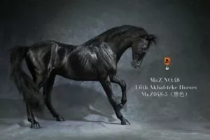 Figura de caballo Mr.Z MRZ048-5 1:6 Akhal-Teke modelo animal caballo de guerra accesorios de escena de 12 - Imagen 1 de 4