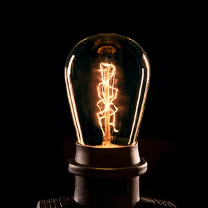 Box of S14 Zig Zag Edison 11W E26 Base Replacement Bulbs for String Lights - Picture 1 of 2