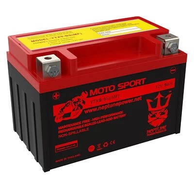 Batería de repuesto YTX9-BS 13-17 SUZUKI GW250 Neptune Power Foto 1 de 4