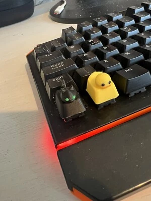 3D Printed Custom, Rubber Duck, Kitty Cat, Chill Buddy For Mechanical Keyboard - Image 1 of 4