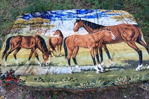 Horse Tapestry ~ Vintage Wall Tapestry ~ Large 4' X 6' ~ Antique ~ Velvety - Picture 1 of 7