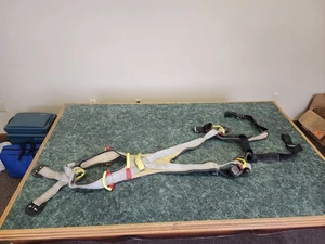 Buckingham 603S8Q113 Größe X Buckfit Geschirr - Bild 1 von 10