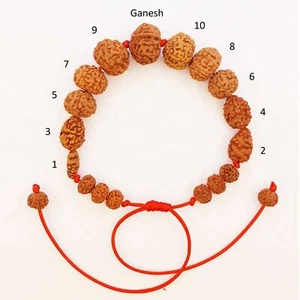 Premium 1 2 3 4 5 6 7 8 9 10 Mukhi +Ganesh Rudraksha Bracelet Java~Lab Certified - Picture 1 of 2