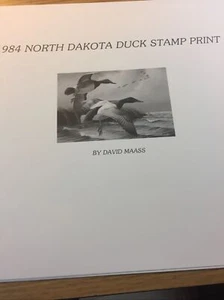 David Maass,1984,N.Dakota Duck Print,302/3438 Redheads,No Stamp ,Mint. - Picture 1 of 12