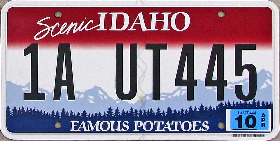 Matrícula IDAHO (PLACA ALEATORIA#) **LEER DESCRIPCIÓN Foto 1 de 1