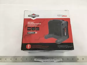 (1) NEW Briggs & Stratton Snapper 48-Volt Lithium-Ion Battery Charging Station - Picture 1 of 9