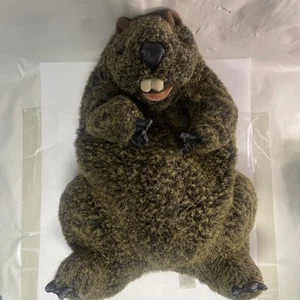 Neu ohne Etikett Folkmanis realistische Tierpuppe Plüsch Murmeltier 11 Zoll Spielzeug - Bild 1 von 5