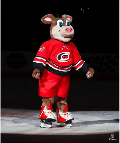 Stormy Carolina Hurricanes Unsigned Storm Surge Celebrate Photo Cover
