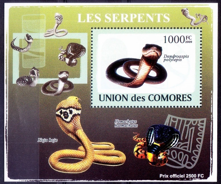 Poisonous Snakes, Reptiles, Comoros 2009 MNH Sheet   - Image 1 of 1