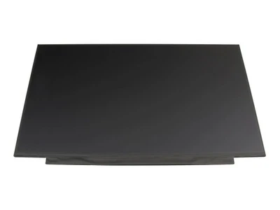 BOE NE173QHM-NY2 V8.0 165Hz Pantalla LED (2560x1440) Mate Slimline Alternativa - Imagen 1 de 2