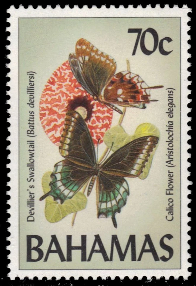 BAHAMAS 814 - Devillier's Swallowtail Butterfly "Battus devillersi" (pb10408) — 第 1/1 张图片