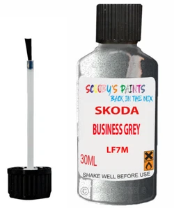 Paint For Skoda Business Grey Lf7M Karoq,Superb,Kodiaq,Yeti Touch Up - Picture 1 of 11