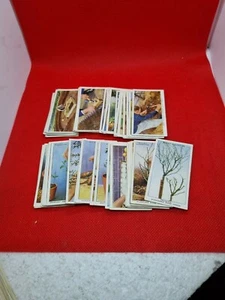 46 cigarette cards garden hints - Foto 1 di 2