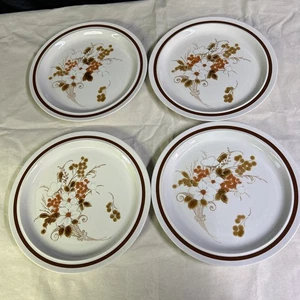 Four Seasons Stoneware Autumn Bouquet Dinner Plates 10.5” Set of 4 Vintage Japan - Picture 1 of 6