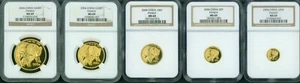 2004 5-COINS GOLD SET 500-Y 200-Y 100-Y 50-Y 20-Y CHINESE PANDA CHINA NGC MS69 ! - Picture 1 of 2