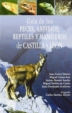 GUÍA DE LOS PECES, ANFIBIOS, REPTILES Y MAMIFEROS DE CASTILLA Y LEÓN - Imagen 1 de 1