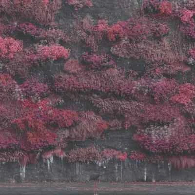 Sleep Token - Even In Arcadia CD - SEALED NEW WITH HYPE STICKER - ALT PROG METAL - Image 1 of 2