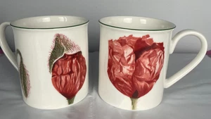 Villeroy & Boch Flora Poppy House and Garden Fine China Mugs Set of 2 3-3/8" - Picture 1 of 6
