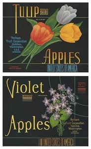 SELTENES WUNDERSCHÖNES PAAR 1940ER JAHRE "TULPE & VIOLETT MARKE" APFELKISTE ETIKETT ART YAKIMA WA - Bild 1 von 3