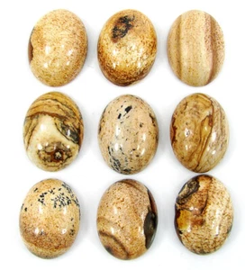 123.15 Ct Natural Picture Jasper Gemstone 15x20 mm Cabochon 9 Pcs Lot - 61172 - Bild 1 von 2