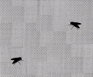 FINE BLACK FLEXIBLE PVC COATED WOVEN FIBREGLASS INSECT MESH SCREEN 0.6x0.4m NET - Picture 1 of 1