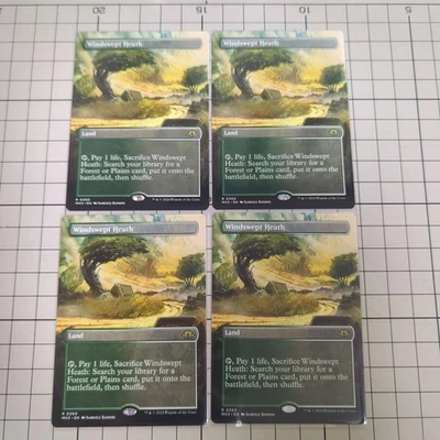 MTG  Windswept Heath  English Version 684321 - Image 1 of 2