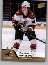 2020-21 Upper Deck AHL Hockey Cards (High Gloss or Gold) Pick From List