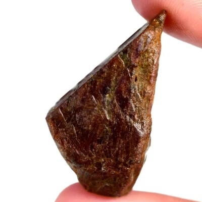 105.70 Cts 100% Natural Mozambique Ruby Facet Rough Cabochon Gemstone FY17 - Image 1 of 2