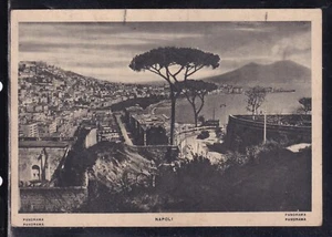 Cartolina Napoli Panorama Q1342 - Foto 1 di 1