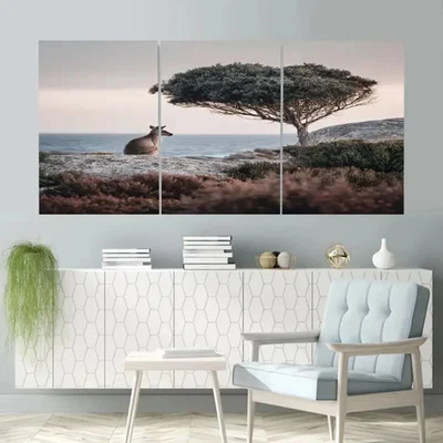 3pcs Kangaroo Island Reserve in Australia Metal Print Ready to Hang Art - Image 1 of 4