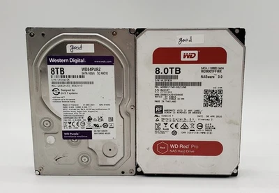 Lote Mixto de (2) 8TB WD PÚRPURA WD8APURZ Y (1) WD ROJO WD8001FFWX Foto 1 de 4