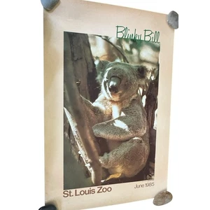 Vintage St. Louis Zoo Blinky Bill Koalabär Poster Juni 1985 Joey Beuteltier LESEN - Bild 1 von 9
