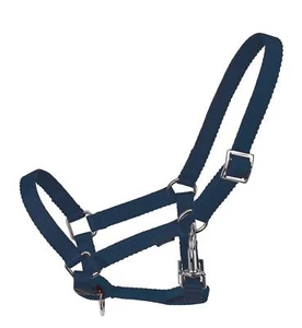 Busse Young Fohlenhalfter Halfter, Stallhalfter Nylonhalfter Mini Shetty blau - Bild 1 von 2