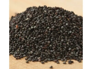 Poppy Seeds 1 Pound Seeds - Picture 1 of 1