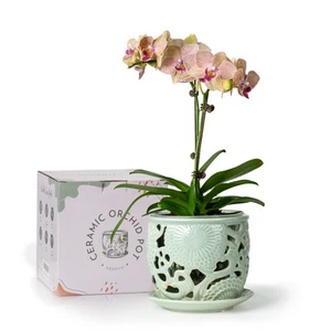 Ceramic Orchid Pot, Orchid Pots with Drainage Holes & Saucer 6.5 Inch,Orchid ... - Picture 1 of 8