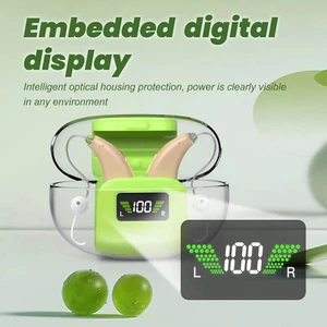 Hörgerät 16 Kanal Digital Lautsprecher Senioren Sound Verstärker IUU - Bild 1 von 17