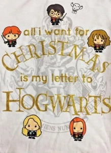 Harry Potter Hogwarts Letter Christmas T-Shirt Long Sleeves Child Size S(6/6X) - Picture 1 of 10