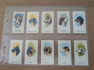 G.P. Tea (George Payne) Tea Cards...Dogs Heads.... Complete Set of 25....1963 - Picture 1 of 6