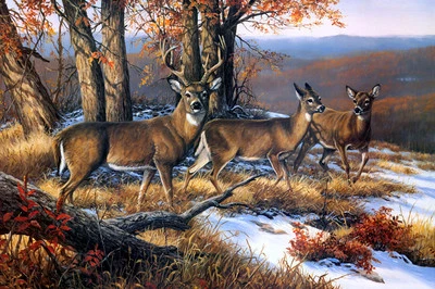 Oil Painting HD Print Picture Animals Deer in the forest on canvas 16"x24" L352 - Image 1 of 4