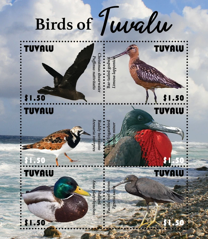 Hoja de estampillas de aves BIRDS OF TUVALU (Ruddy/Heron/Frigatebird) #27 (2021 Tuvalu) Foto 1 de 1