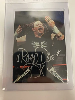 Tarjeta autógrafa 1998 WWF Road Dog Jesse James Superstarz  Foto 1 de 2