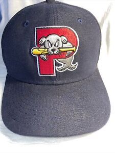 Portland Sea Dogs New Era Minor League Baseball Cap Size 7 1/4 57.7cm