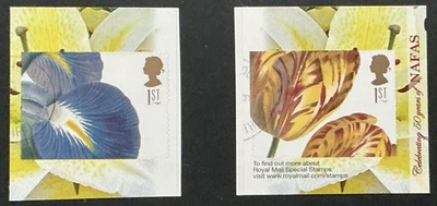 GB STAMPS SG2942/3 NAFAS BOOKLETFROM PM18,  2009 VERY FINE USED. CTO - Image 1 of 4
