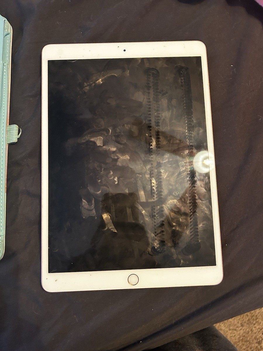 Apple iPad Air (3rd Generation) 256GB for sale | eBay Apple iPad Air (3rd Generation) 256GB for sale | eBay
